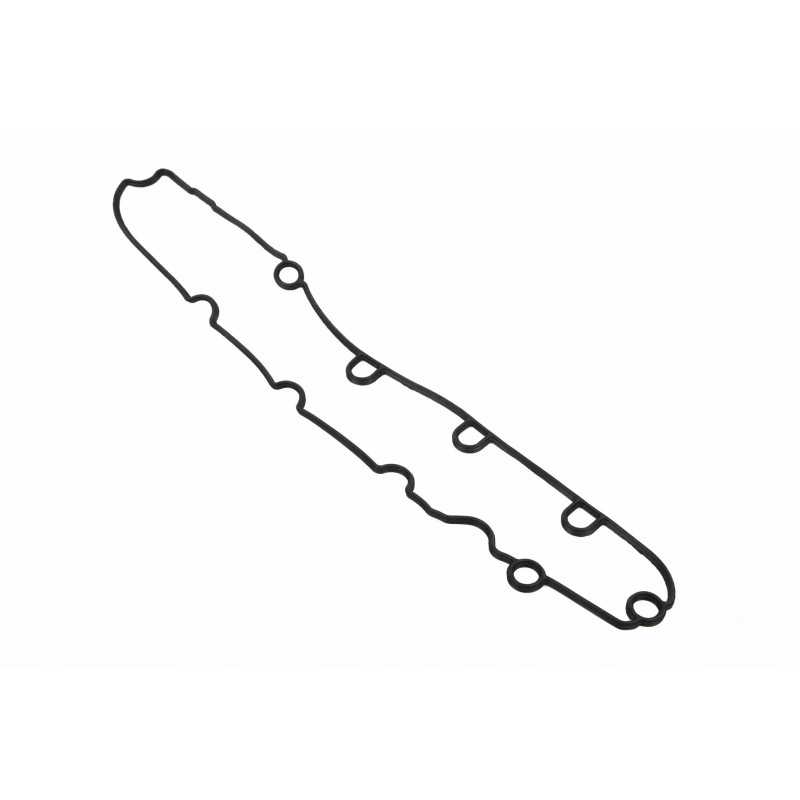 F411201210170 vožtuvo dangtelio tarpinė