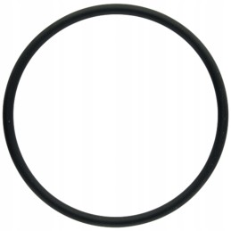 Oring 570054 0x3 0 x548932466000 granitas