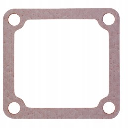 Įsiurbimo kolektoriaus tarpinė 4899921 granitinė