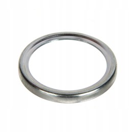 Case Fendt guolio sandarinimo žiedas