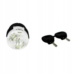 Švytinčio uždegimo jungiklis