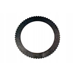 Lygus tarpinis diskas