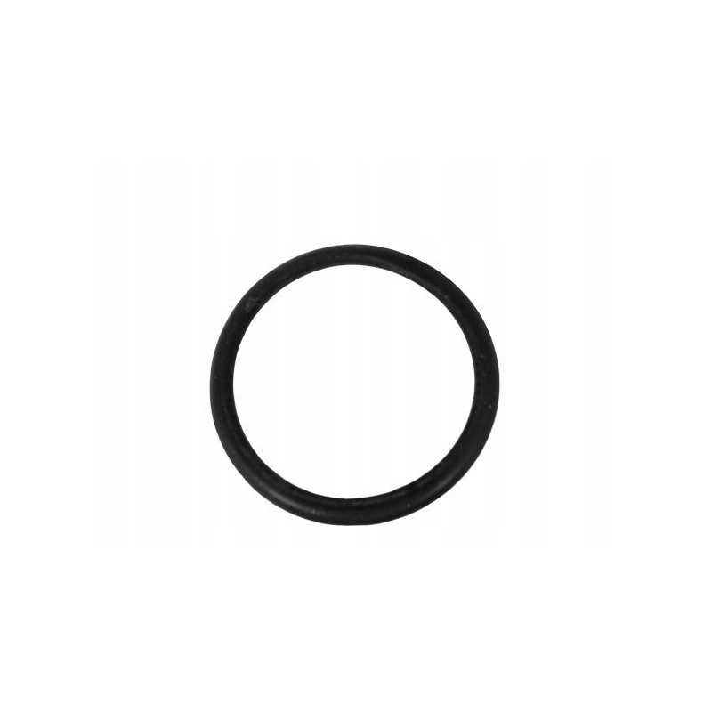 O žiedas 3 53x31 4mm new Holland korpusas 14463680 cnh