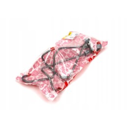 Įpurškimo vamzdžių rinkinys, 3 vnt originalus mf3