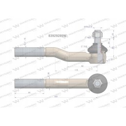 Vairo šarnyras 1 83929289 Warynski