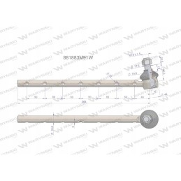 Vairo šarnyras 881883m91 Warynski