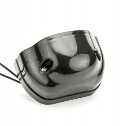 LED valstybinio numerio lemputė w72 w