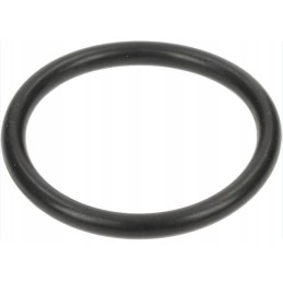 Oring Seal cnh 353108 korpusas new Holland