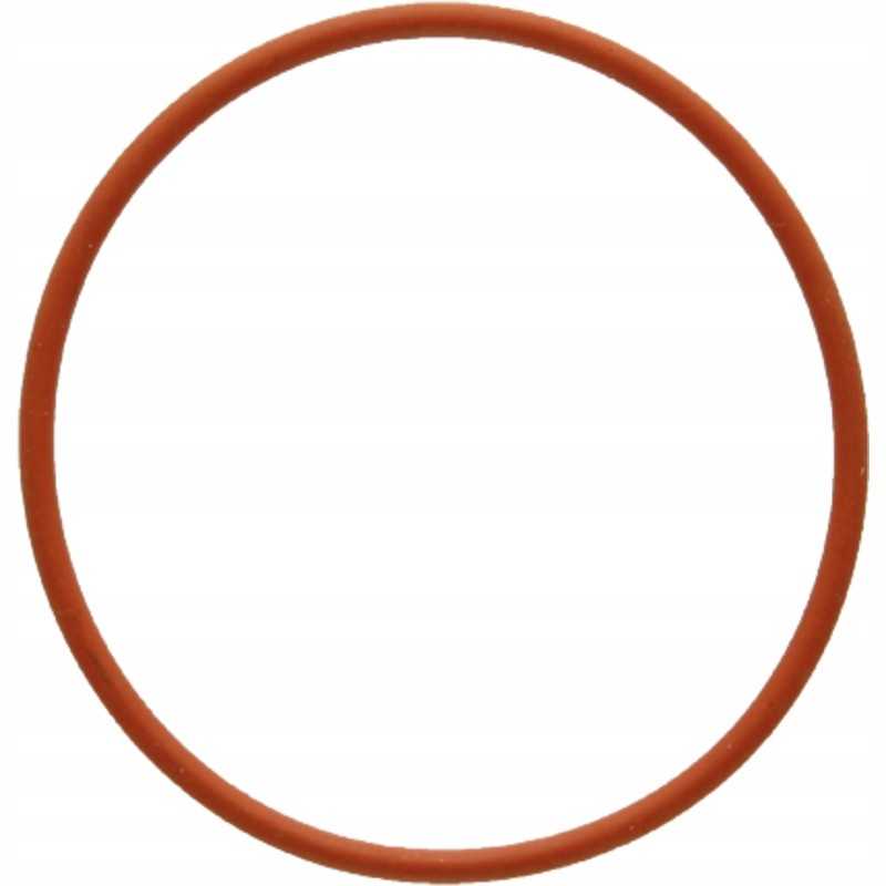 Oring 38012874 r501459 granitas