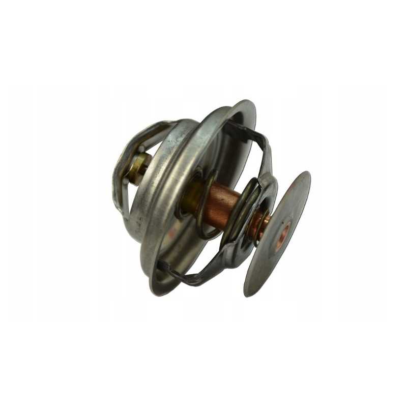 Termostatas c 385 89005904 6 cilindrų originalus Ursus