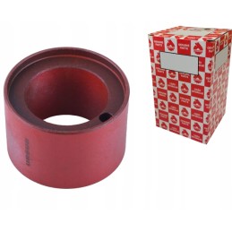 Priekinės ašies kaiščio įdėklas c 385 89200006u