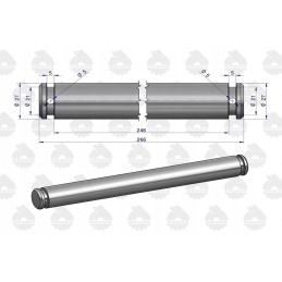 Rėmo pakabos kaištis c 360 50676030 originalus