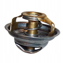 Termostatas tv37 ursus c 385