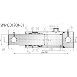 Pavaros cilindro hidraulinio stūmoklio eiga 700 1 pusė 8205070e