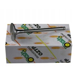 Siurbimo variklio vožtuvas 2137301 4153631 deutz rm 223