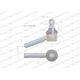 Vairo šarnyras 11 16 81717427 Warynski