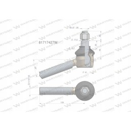 Vairo šarnyras 11 16 81717427 Warynski