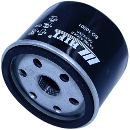 Briggs stratton so10001 492932 alyvos filtras