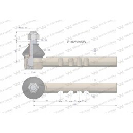 Vairo šarnyras 81825395 Warynski