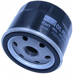 Alyvos filtras bs sp5162 briggs vejapjovė