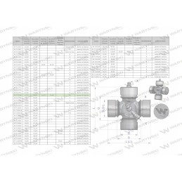 Plataus kampo veleno kryžius 27x94 32x76 Warynski
