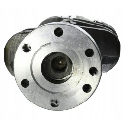 Variklio alkūninis velenas, skirtas mf 4 a4 236 a4 248 multi-spline