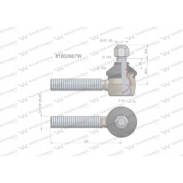Vairo šarnyras 11 16 l 81802867 Warynski