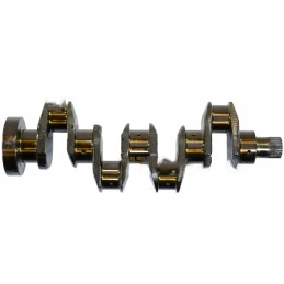 Variklio alkūninio veleno A4 236 spygliuotas tvirtinimas k