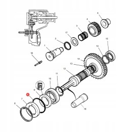 Žiedas oring massey ferguson 70924187 originalus