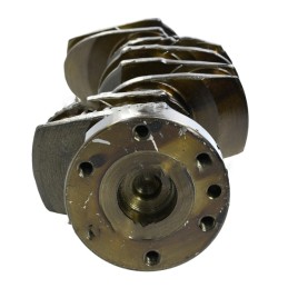 Variklio alkūninio veleno A4 236 spygliuotas tvirtinimas k