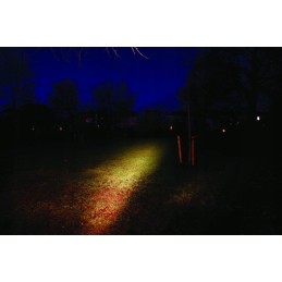 Darbinė lempa su h3 lempute 12v 55w 34203300