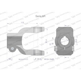 Šakė 8 sr anga 30mm 30 2x91 4 serija 6r Warynski