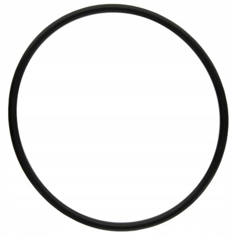 Oring Fendt 70806234 x548967266000 granitas