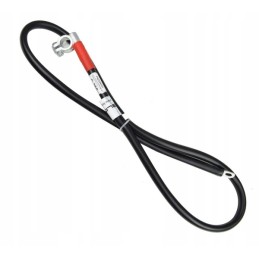 Akumuliatoriaus starterio laidas C 360 46457081 ls