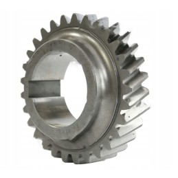 2 pavara su 29 80121182 86120018 skropol