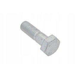 3016172x1 varančiojo veleno šešiabriaunis varžtas