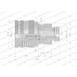 Prisukama greitoji hidraulinė jungtis, M22x1 kištukas 5