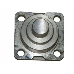 Apatinis ir viršutinis priekiniai kaiščiai 04415055 de