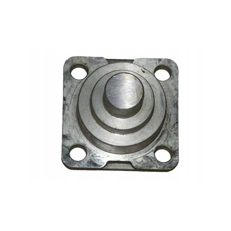 Apatinis ir viršutinis priekiniai kaiščiai 04415055 de