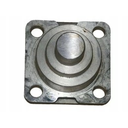 Apatinis ir viršutinis priekiniai kaiščiai 04415055 de