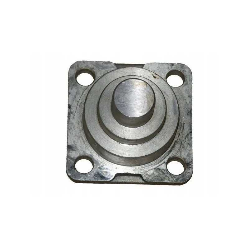 Apatinis ir viršutinis priekiniai kaiščiai 04415055 de