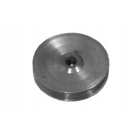 Generatoriaus skriemulys