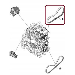 New Holland Case 5095600 kompresoriaus diržas