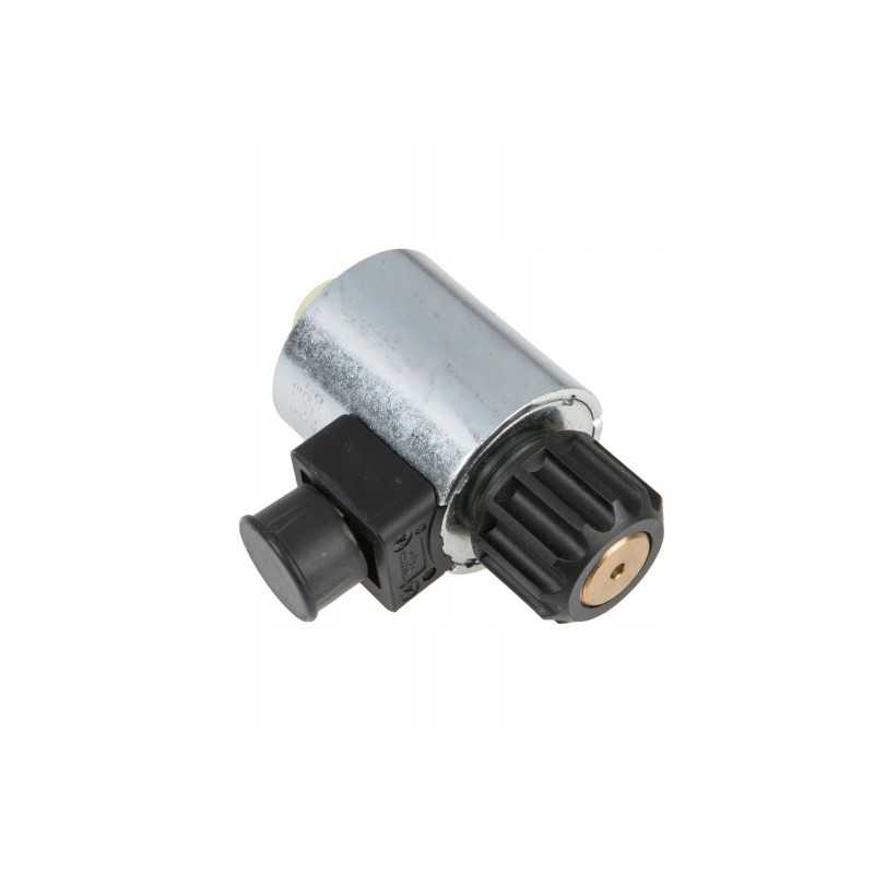 213132 1 solenoido ritė