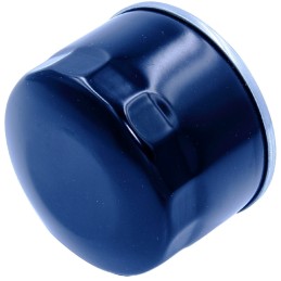 Briggs stratton alyvos filtras 492932