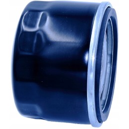 Briggs stratton alyvos filtras 492932