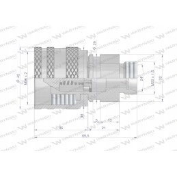 Prisukama greitoji hidraulinė jungtis, M22x1 kištukas 5