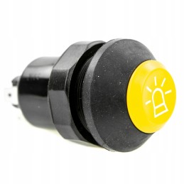 Renault Fendt Rooster blykstės jungiklis