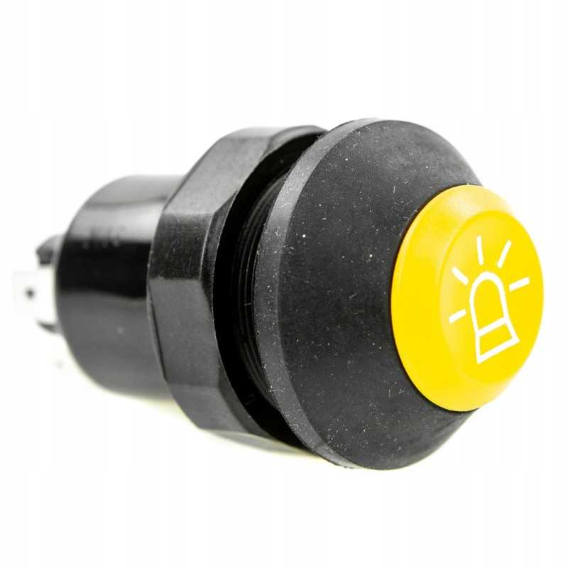 Renault Fendt Rooster blykstės jungiklis