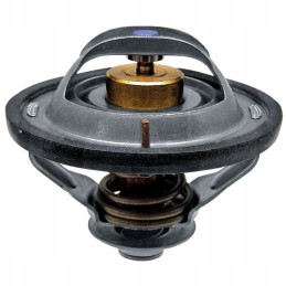 New Holland korpuso termostatas 84383461 2853135